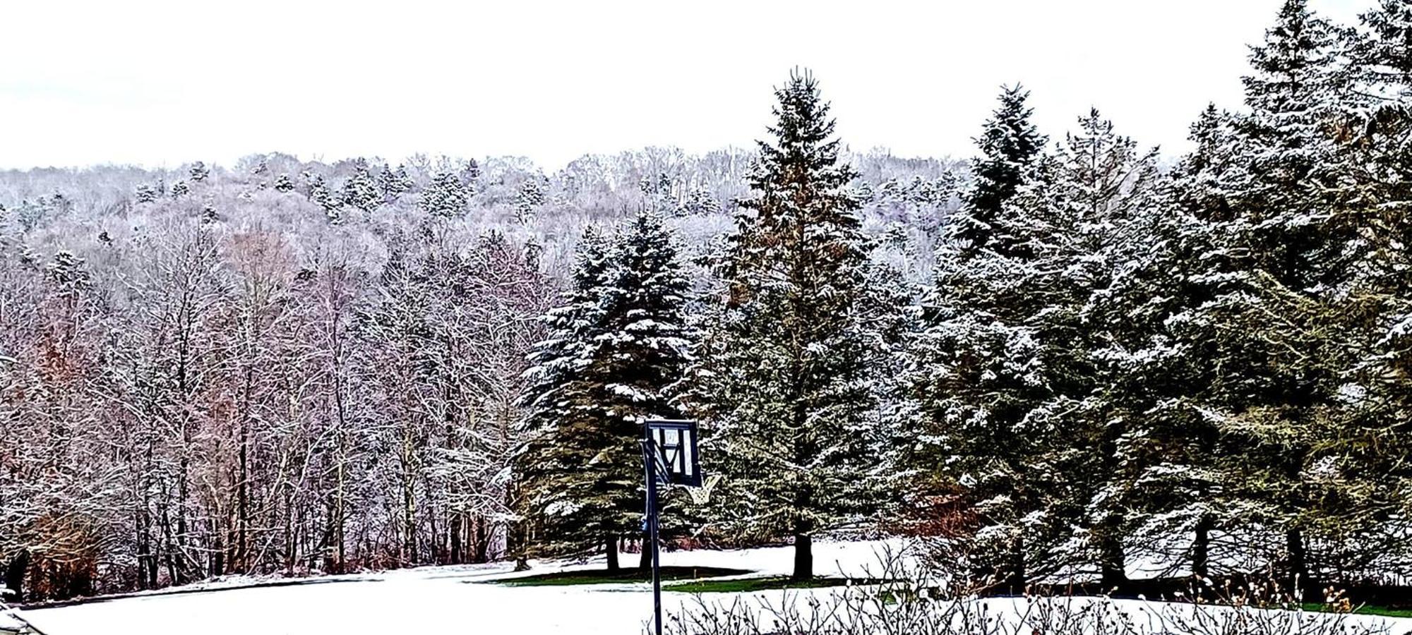 Escape To The Catskills リバティ エクステリア 写真
