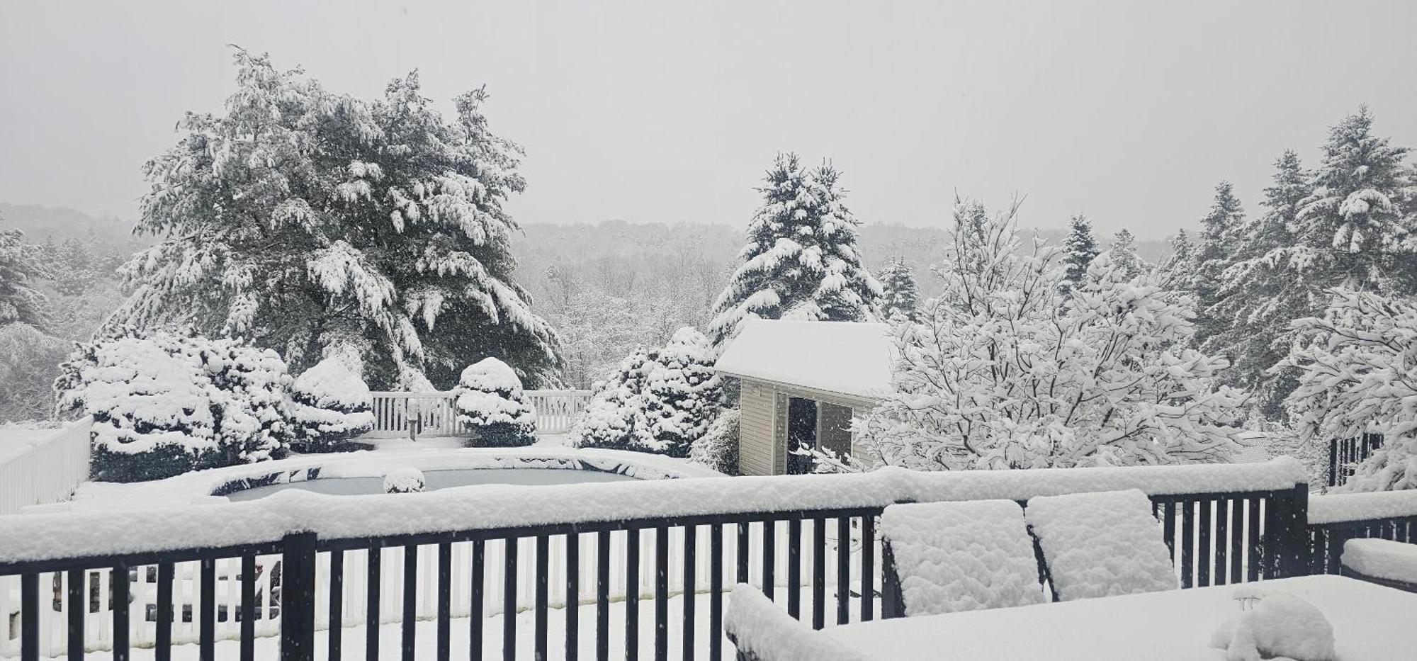 Escape To The Catskills リバティ エクステリア 写真
